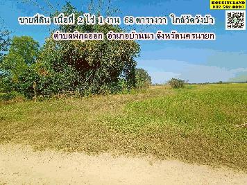 ขายที่ดินใกล้วัดวังบัว  ตำบลพิกุลออก  อำเภอบ้านนา จังหวัดนครนายก